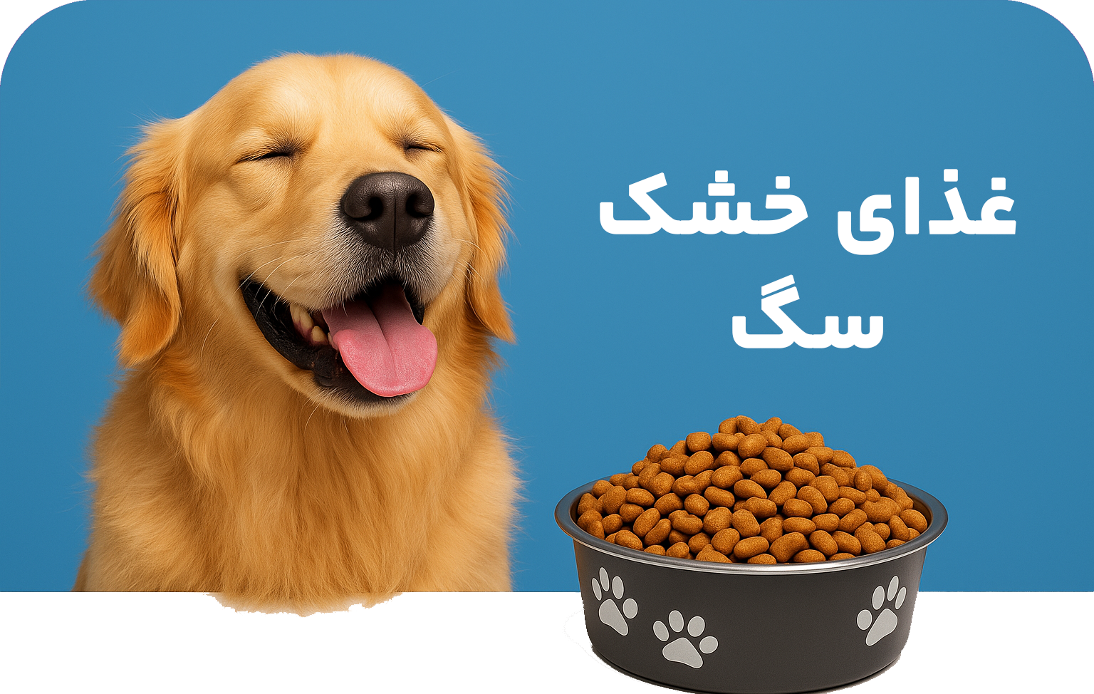 غذای خشک سگ