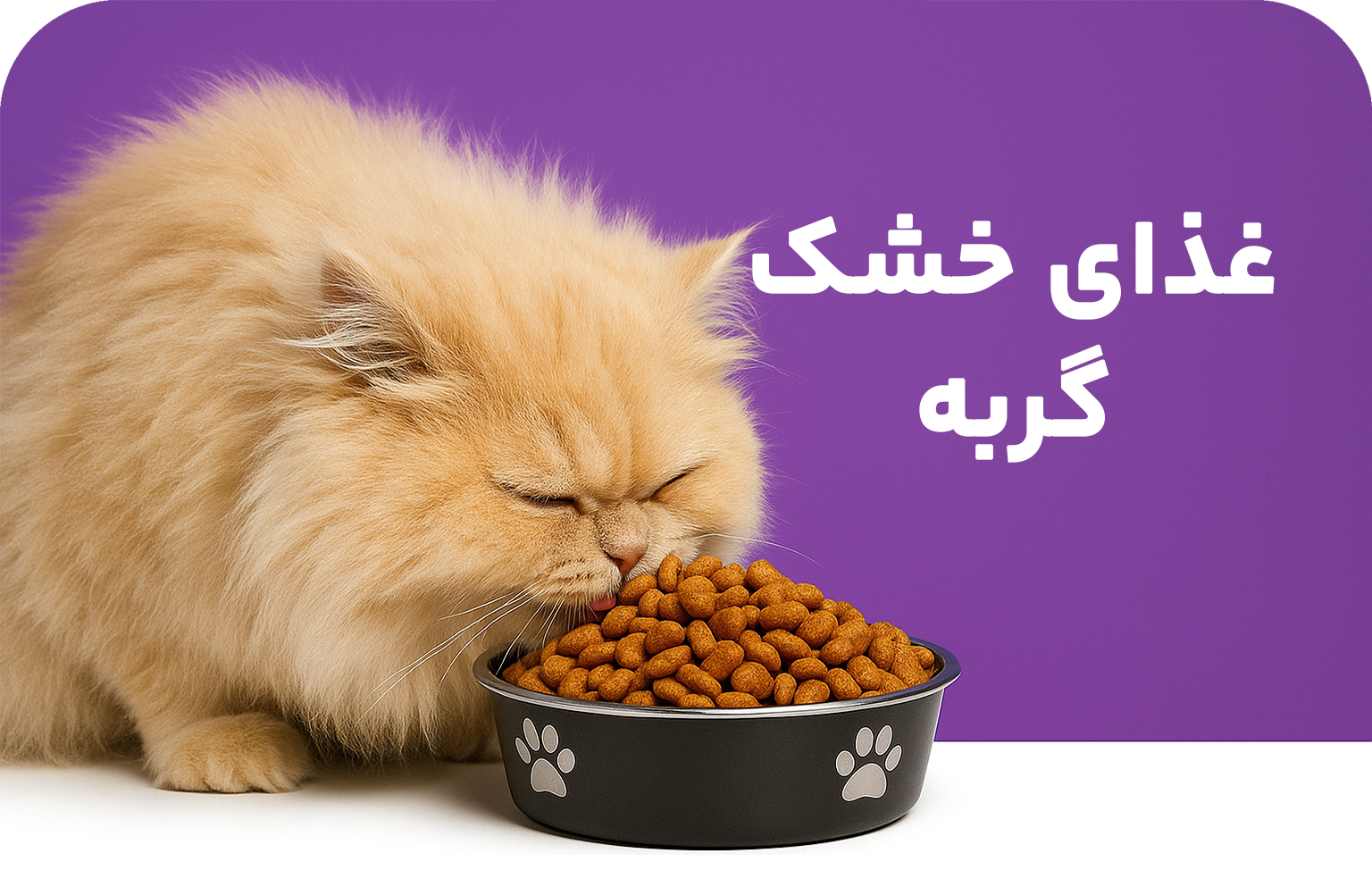 غذای خشک گربه