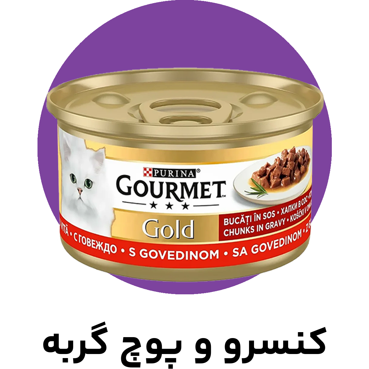 کنسرو و پوچ گربه