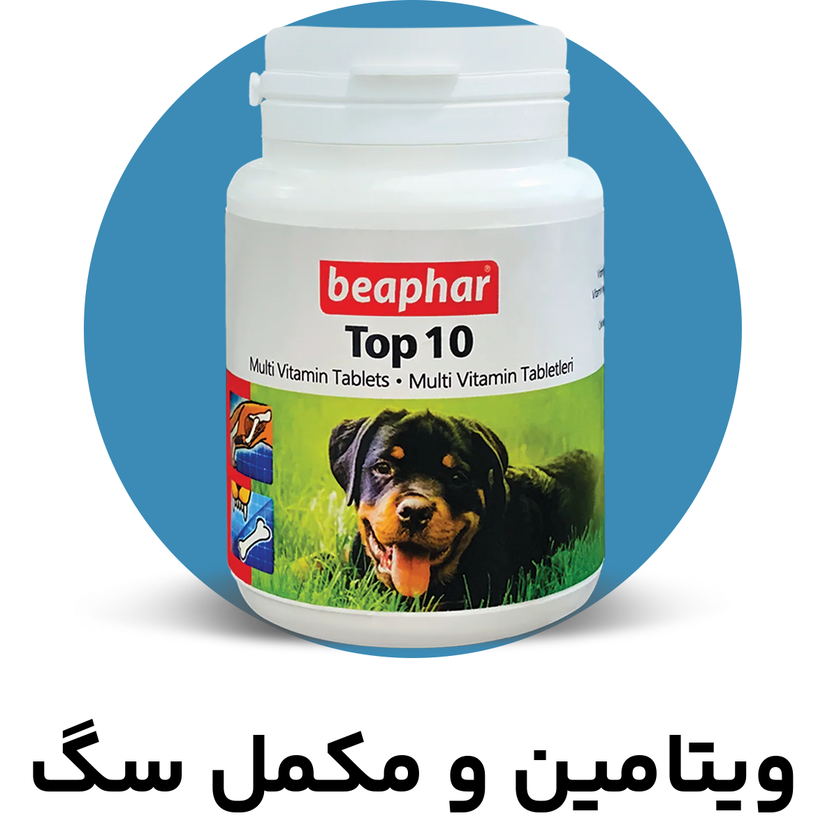 مولتی ویتامین و مکمل سگ