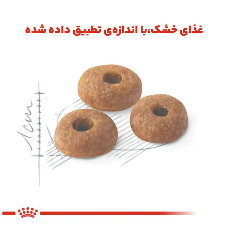غذای خشک گربه بالغ فیت رویال کنین وزن 2 کیلوگرم _ Royal Canin Regular Fit 32