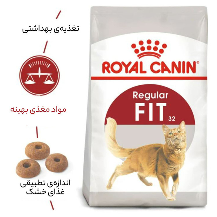 غذای خشک گربه بالغ فیت رویال کنین وزن 2 کیلوگرم _ Royal Canin Regular Fit 32