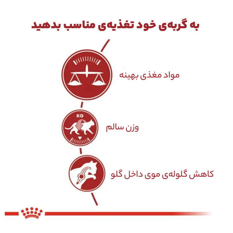 غذای خشک گربه بالغ فیت رویال کنین وزن 2 کیلوگرم _ Royal Canin Regular Fit 32
