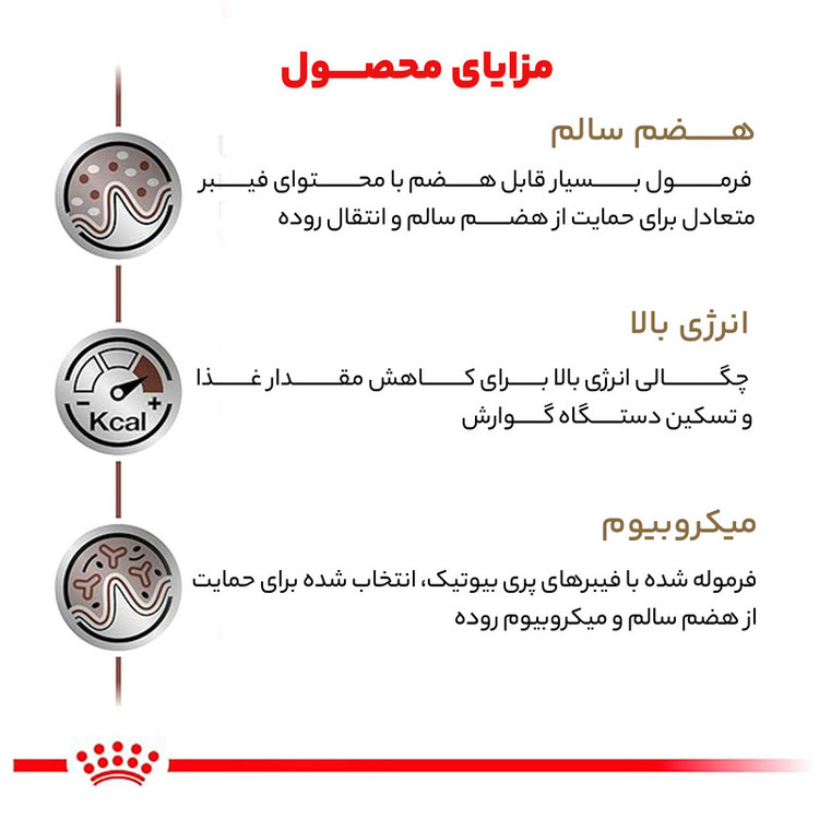 غذا خشک گربه گاسترو اینتستینال رویال کنین وزن 2 کیلوگرم _ Royal Canin Gastrointestinal Cat Dry Food