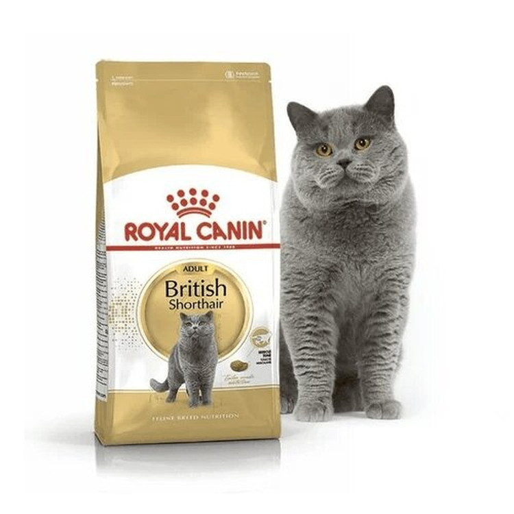 غذای خشک گربه بریتیش ادالت رویال کنین وزن 2 کیلوگرم _ Royal Canin British Adult Dry Cat Food