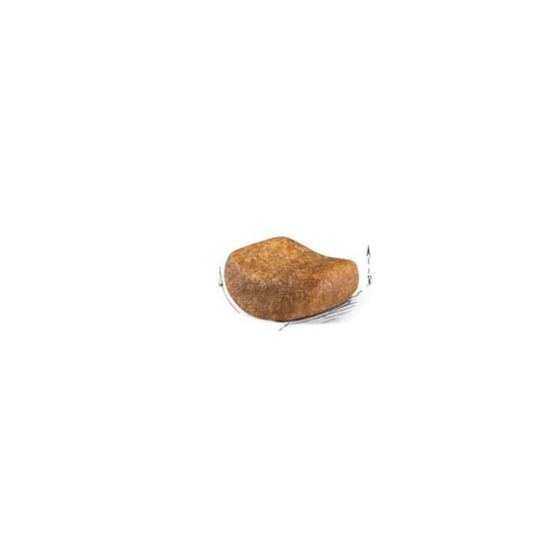 غذای خشک گربه بریتیش ادالت رویال کنین وزن 2 کیلوگرم _ Royal Canin British Adult Dry Cat Food
