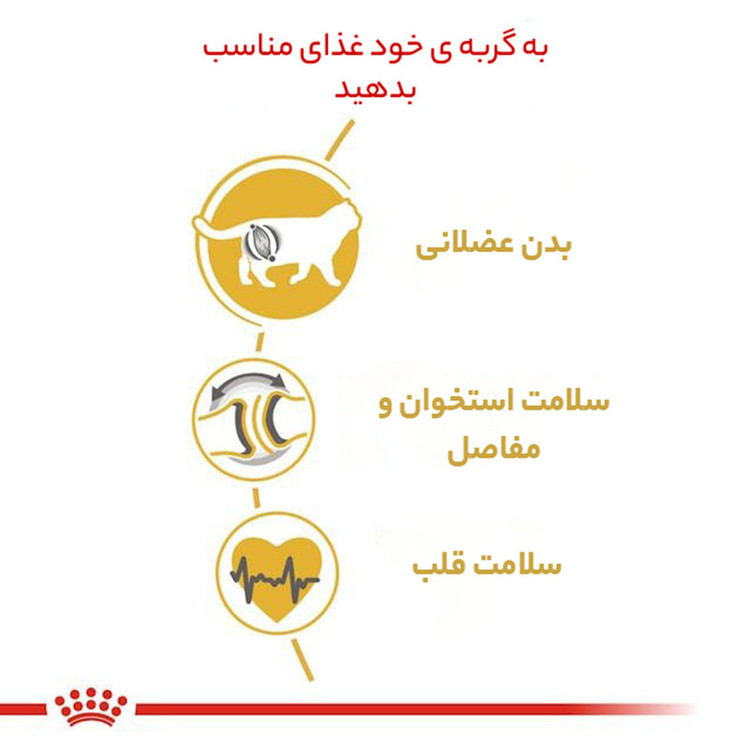 غذای خشک گربه بریتیش ادالت رویال کنین وزن 2 کیلوگرم _ Royal Canin British Adult Dry Cat Food