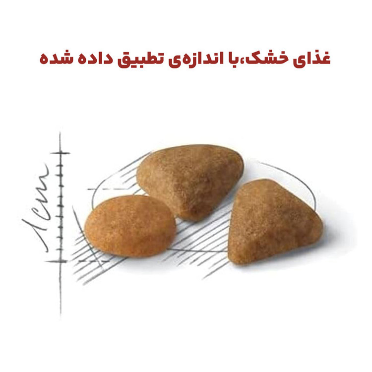 غذای خشک گربه سیور اگزیجنت رویال کنین وزن 2 کیلوگرم _ Royal Canin Savour Exigent