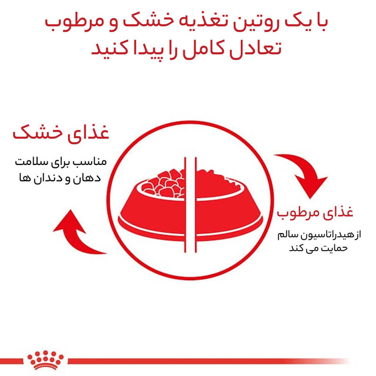 غذا خشک سگ ادالت پودل رویال کنین وزن ۳ کیلوگرم _ Royal Canin Poodle Adult