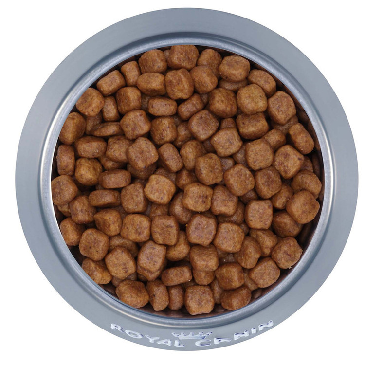 غذا خشک سگ ادالت پودل رویال کنین وزن ۳ کیلوگرم _ Royal Canin Poodle Adult