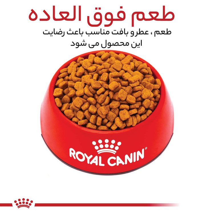 غذا خشک سگ ادالت پودل رویال کنین وزن ۳ کیلوگرم _ Royal Canin Poodle Adult