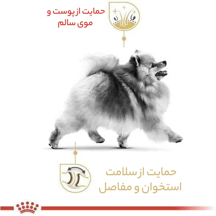 غذا خشک سگ پامر ادالت رویال کنین وزن 3 کیلوگرم _ Royal Canin Pomeranian Adult