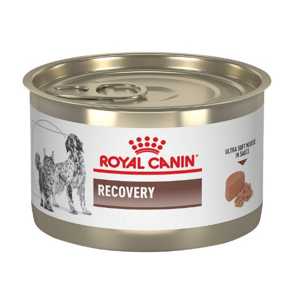 کنسرو ریکاوری رویال کنین سگ و گربه وزن 195 گرم _ Royal Canin Recovery