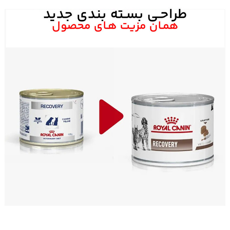کنسرو ریکاوری رویال کنین سگ و گربه وزن 195 گرم _ Royal Canin Recovery