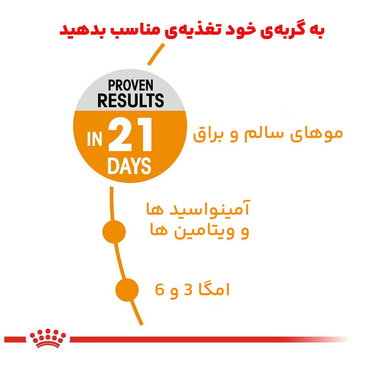 غذا خشک گربه پوست و مو رویال کنین وزن 2 کیلوگرم _ Royal Canin Hair And Skin
