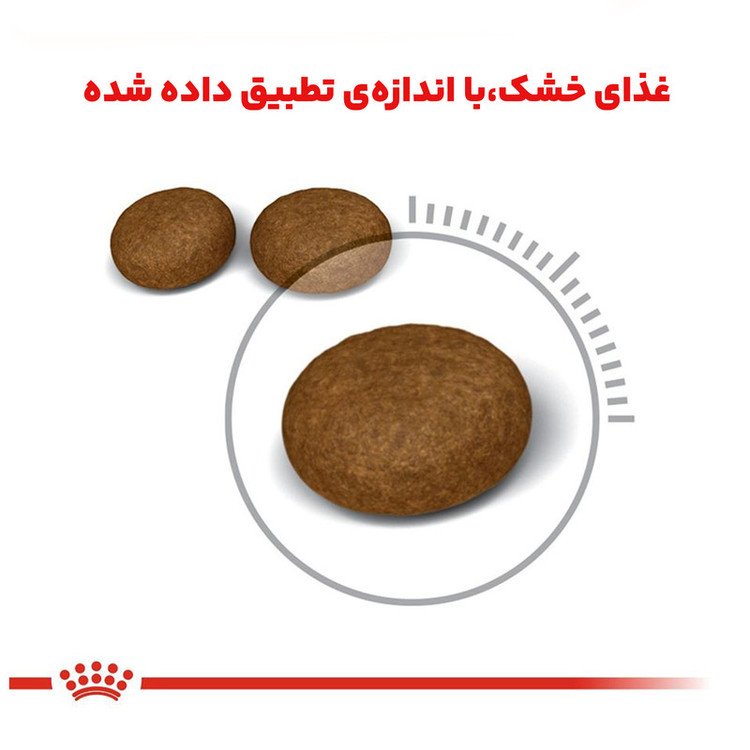 غذا خشک گربه پوست و مو رویال کنین وزن 2 کیلوگرم _ Royal Canin Hair And Skin