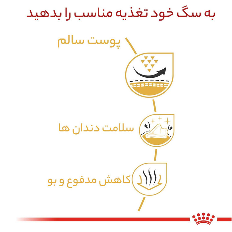 غذا خشک سگ شیتزو ادالت رویال کنین وزن ۱.۵ کیلوگرم _ Royal Canin Shih Tzo Adult