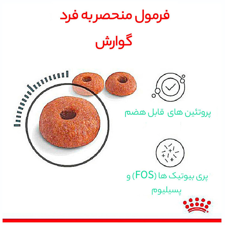 غذای خشک گربه دایجستیو رویال کنین وزن 2 کیلوگرم _ Royal Canin Digestive Care