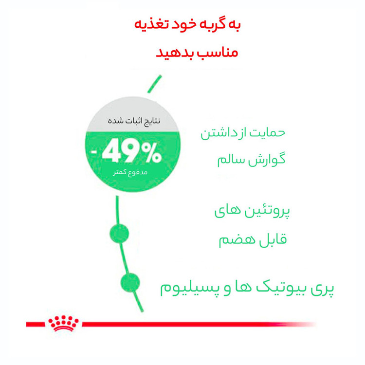 غذای خشک گربه دایجستیو رویال کنین وزن 2 کیلوگرم _ Royal Canin Digestive Care