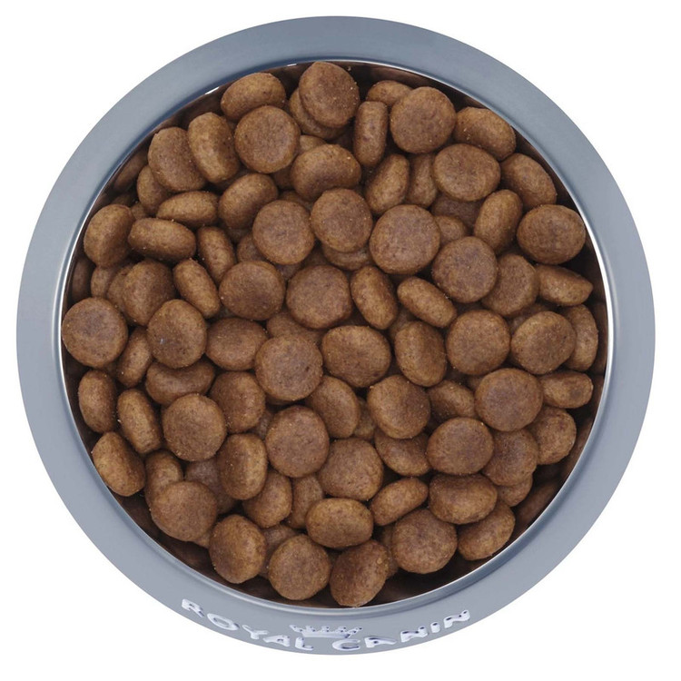 غذا خشک سگ مکسی ادالت رویال کنین وزن 15 کیلوگرم – Royal Canin Maxi Adult