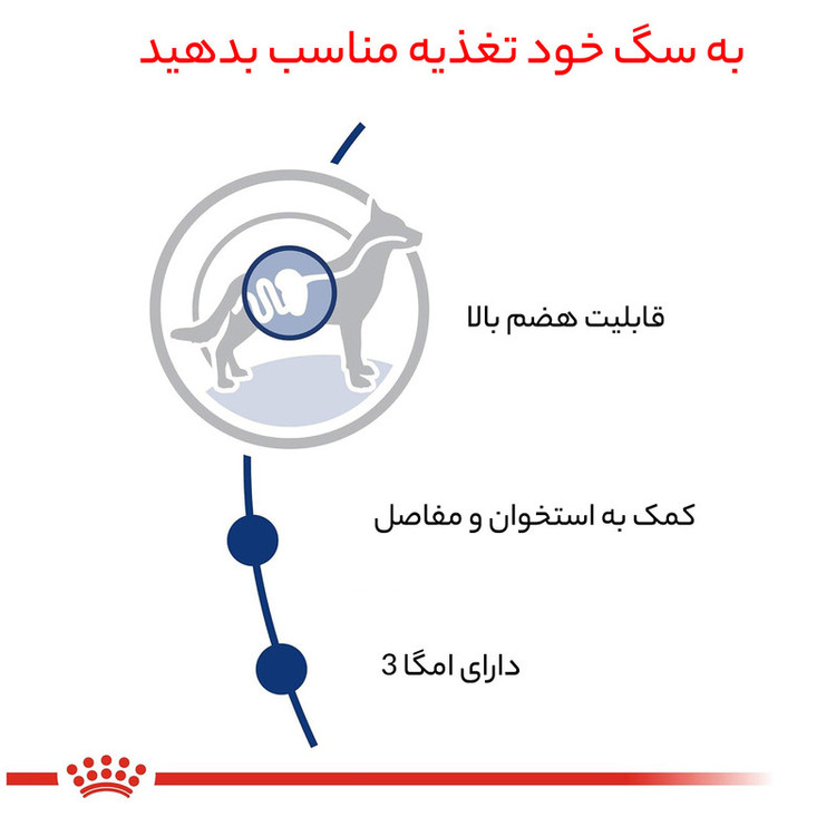 غذا خشک سگ مکسی ادالت رویال کنین وزن 15 کیلوگرم – Royal Canin Maxi Adult