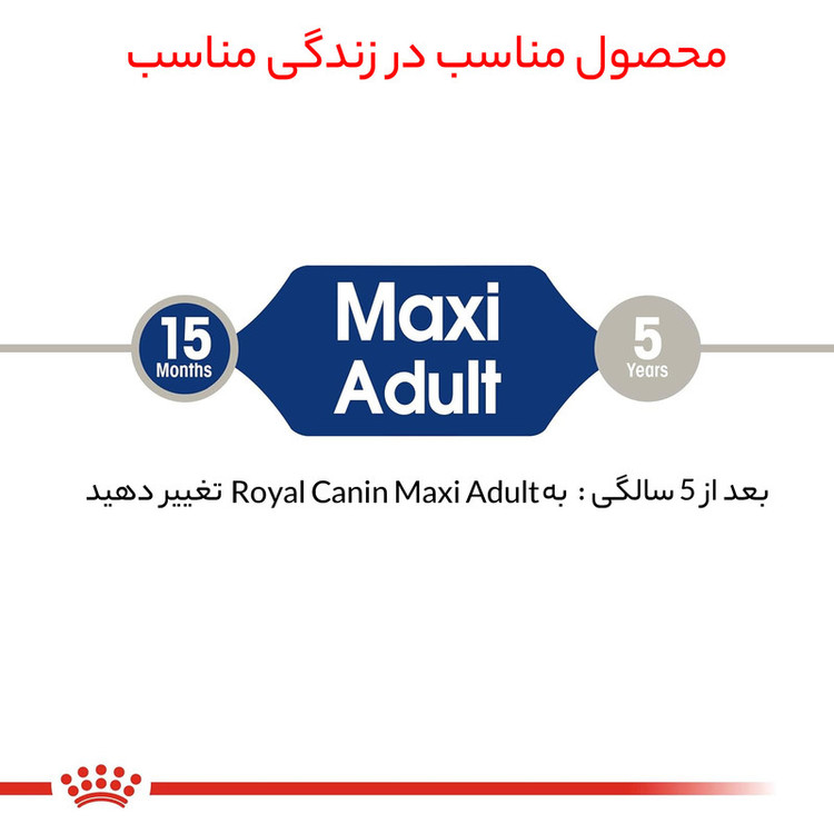 غذا خشک سگ مکسی ادالت رویال کنین وزن 15 کیلوگرم – Royal Canin Maxi Adult
