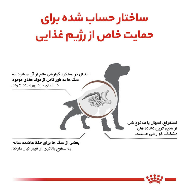 غذا خشک سگ گاسترو اینتستینال های فیبر رویال کنین وزن ۲ کیلوگرم _ Royal Canin Gastrointestinal High Fibre Dog Food