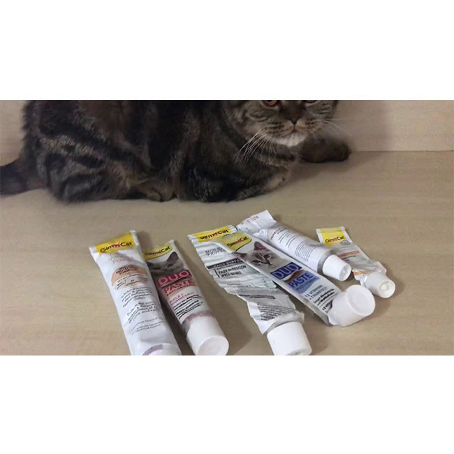 خمیر مولتی ویتامین جیم کت Gim cat مدل Duo paste دوقلو ماهی تن وزن 50 گرم