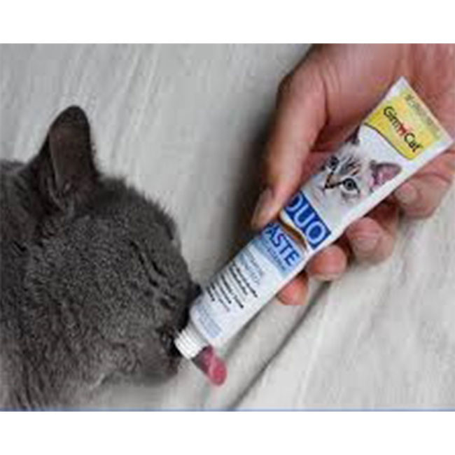 خمیر مولتی ویتامین جیم کت Gim cat مدل Duo paste دوقلو ماهی تن وزن 50 گرم