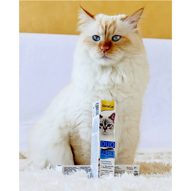 خمیر مولتی ویتامین جیم کت Gim cat مدل Duo paste دوقلو ماهی تن وزن 50 گرم