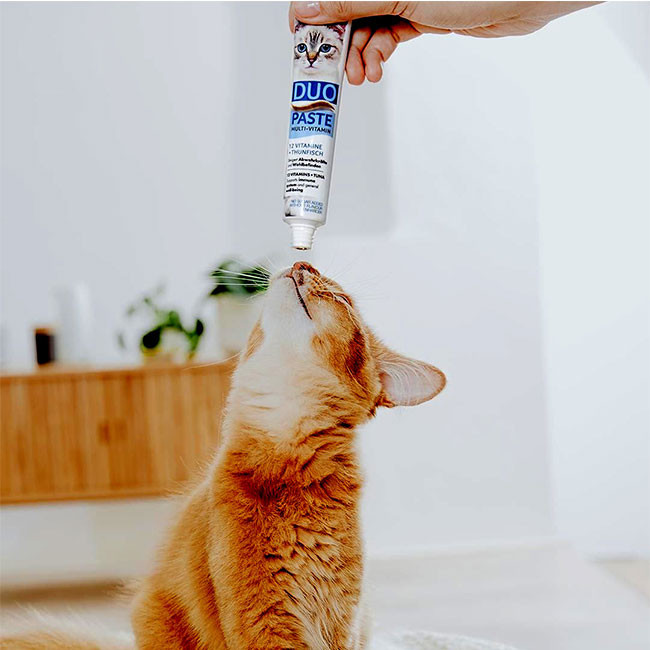خمیر مولتی ویتامین جیم کت Gim cat مدل Duo paste دوقلو ماهی تن وزن 50 گرم