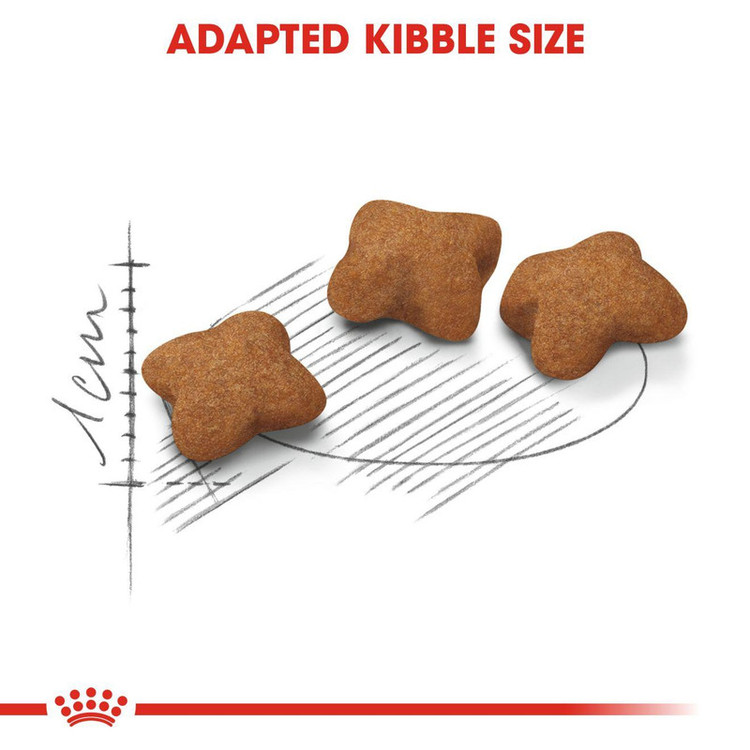 غذای خشک بچه گربه عقیم شده رویال کنین وزن 2 کیلوگرم _ Royal Canin Kitten Sterilised Cat Dry Food