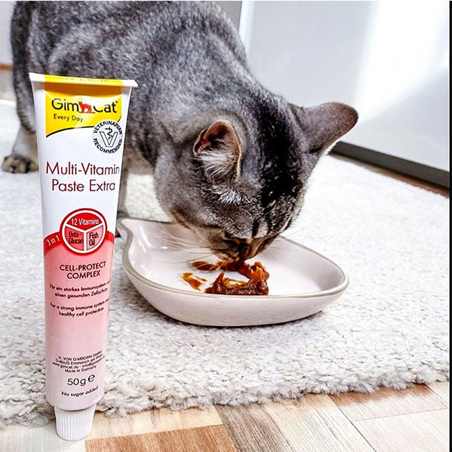 خمیر مولتی ویتامین گربه جیم کت مدل Gimcat PASTE-Professional وزن 100 گرم