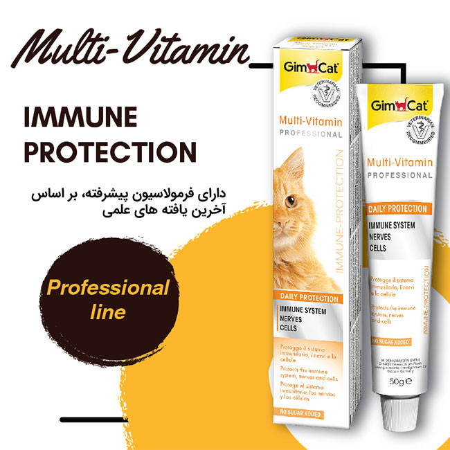 خمیر مولتی ویتامین گربه جیم کت مدل Gimcat PASTE-Professional وزن 100 گرم