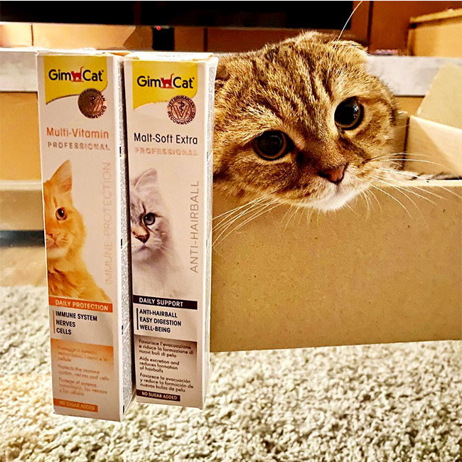 خمیر مولتی ویتامین گربه جیم کت مدل Gimcat PASTE-Professional وزن 100 گرم