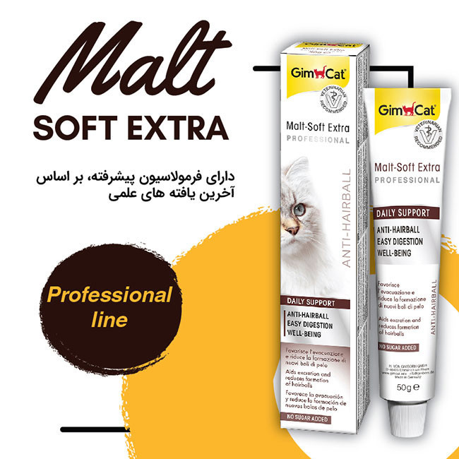 خمیر مالت گربه جیم کت مدل Malt-Soft Extra Professional وزن 100 گرم