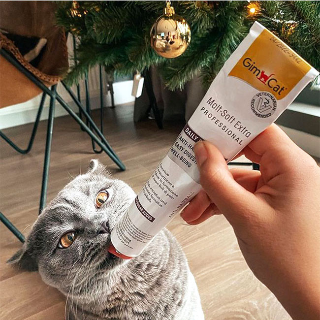 خمیر مالت گربه جیم کت مدل Malt-Soft Extra Professional وزن 100 گرم