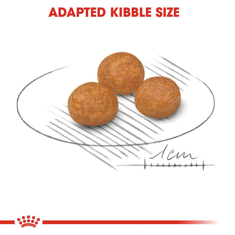 غذا خشک سگ ایکس اسمال ادالت رویال کنین وزن 1/5 کیلوگرم _ Royal Canin X-small Adult
