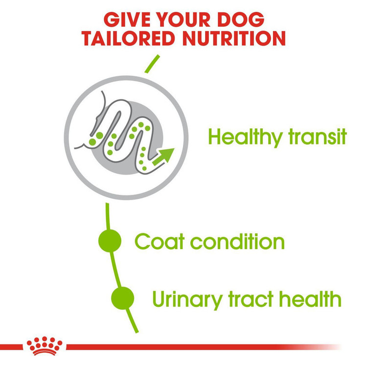 غذا خشک سگ ایکس اسمال ادالت رویال کنین وزن 1/5 کیلوگرم _ Royal Canin X-small Adult