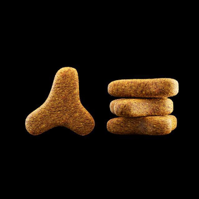 غذا خشک گربه چاق و کم تحرک جوسرا سوپر پرمیوم لژر وزن 2 کیلوگرم _ Josera Cat Super Premium Leger Food