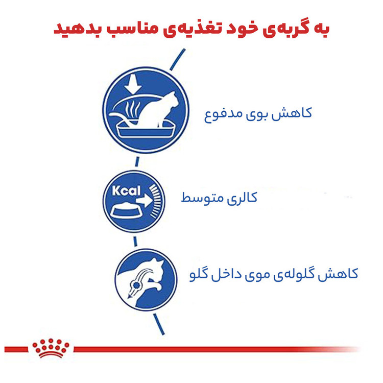 غذای خشک گربه رویال کنین ایندور وزن 1 کیلوگرم _ Royal Canin Indoor Home Life (زیپ کیپ)