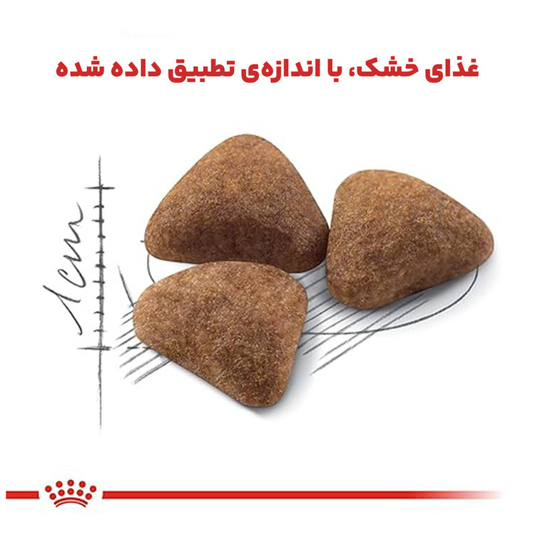 غذای خشک گربه رویال کنین ایندور وزن 1 کیلوگرم _ Royal Canin Indoor Home Life (زیپ کیپ)