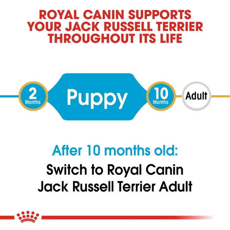پوچ سگ رویال کنین مدل مینی پاپی وزن 85 گرم _ Pouch Royal canin Puppy Mini