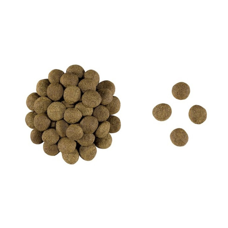 غذا خشک سگ گاسترو اینتستینال رویال کنین وزن ۲ کیلوگرم _ Royal Canin Gastrointestinal Dog Food
