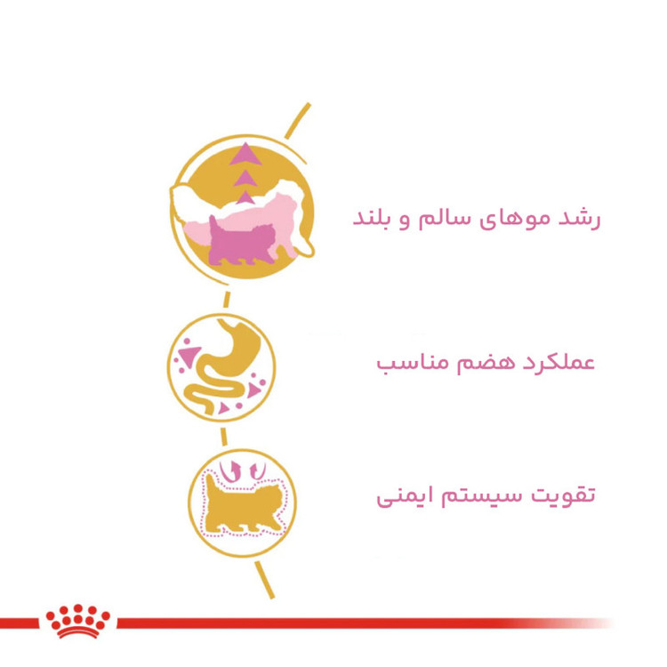 غذای خشک گربه کیتن پرشین رویال کنین وزن 1 کیلوگرم _ Royal Canin Persian Kitten Dry Cat Food (زیپ کیپ)