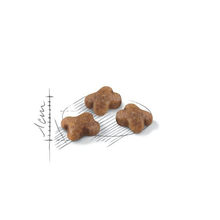 غذا خشک گربه کیتن رویال کنین وزن 1 کیلوگرم _ Royal Canin Kitten Cat Dry Food (زیپ کیپ)