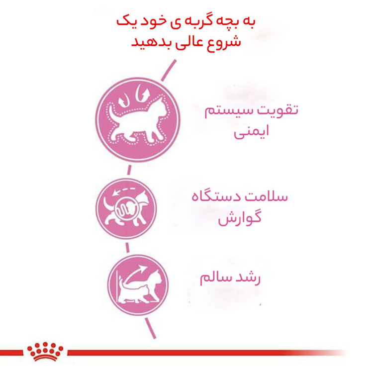 غذا خشک گربه کیتن رویال کنین وزن 1 کیلوگرم _ Royal Canin Kitten Cat Dry Food (زیپ کیپ)