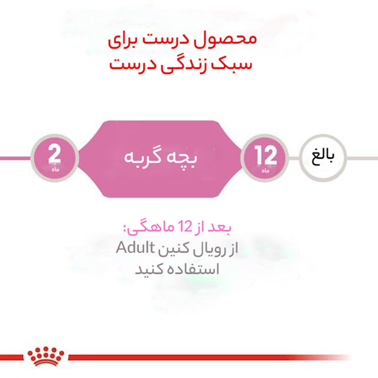 غذا خشک گربه کیتن رویال کنین وزن 1 کیلوگرم _ Royal Canin Kitten Cat Dry Food (زیپ کیپ)