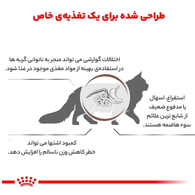 غذا خشک گربه گاسترو اینتستینال رویال کنین وزن 4 کیلوگرم _ Royal Canin Gastrointestinal Cat Dry Food