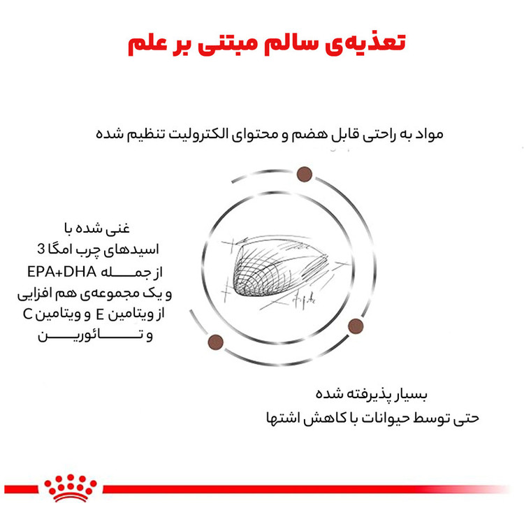 غذا خشک گربه گاسترو اینتستینال رویال کنین وزن 4 کیلوگرم _ Royal Canin Gastrointestinal Cat Dry Food